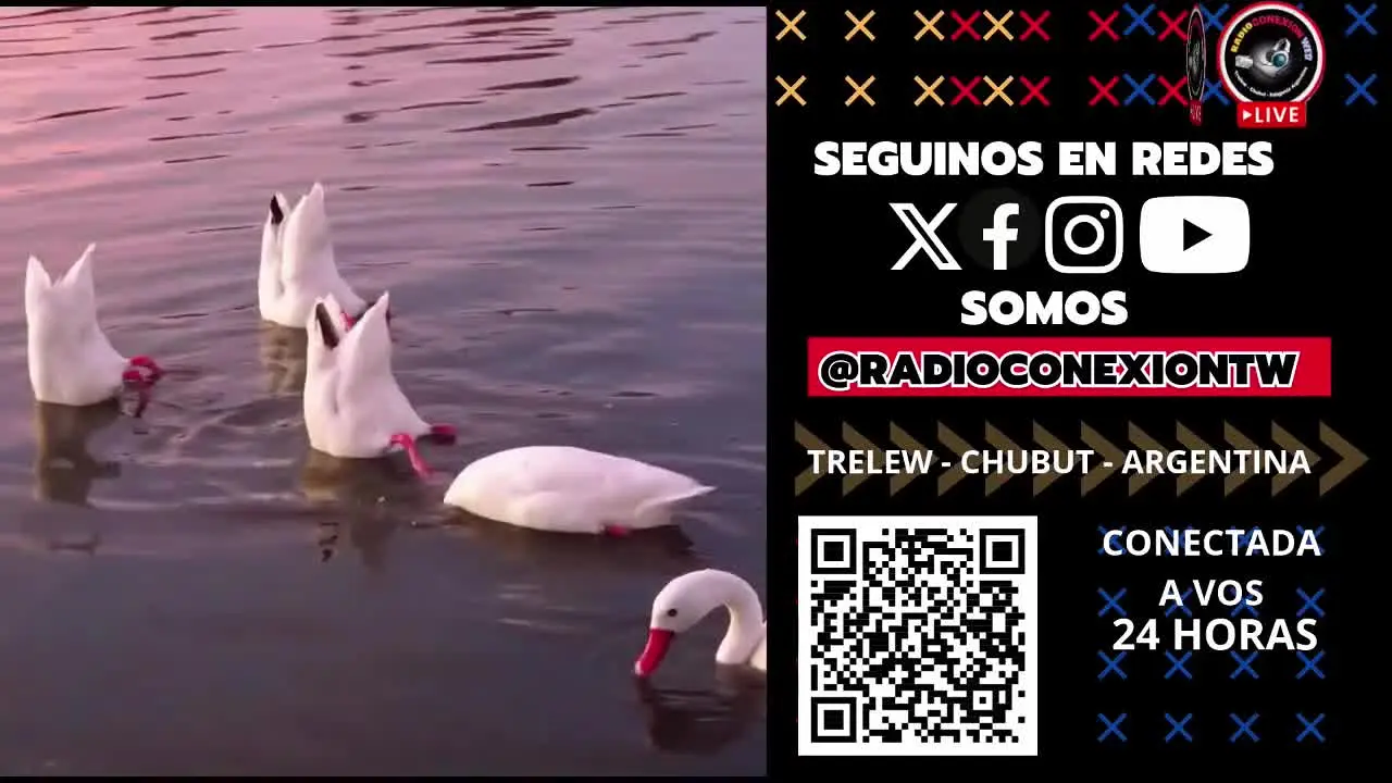 Radio Conexion Web TV live