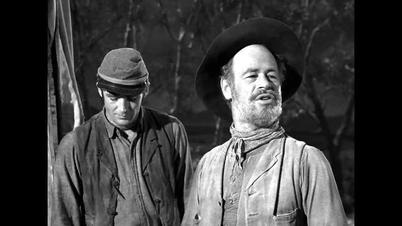 Rawhide live