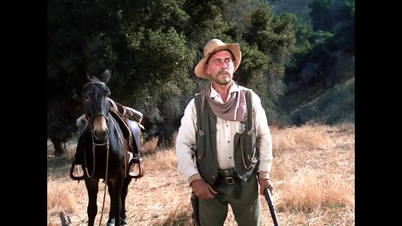 Pluto TV Wild West in diretta