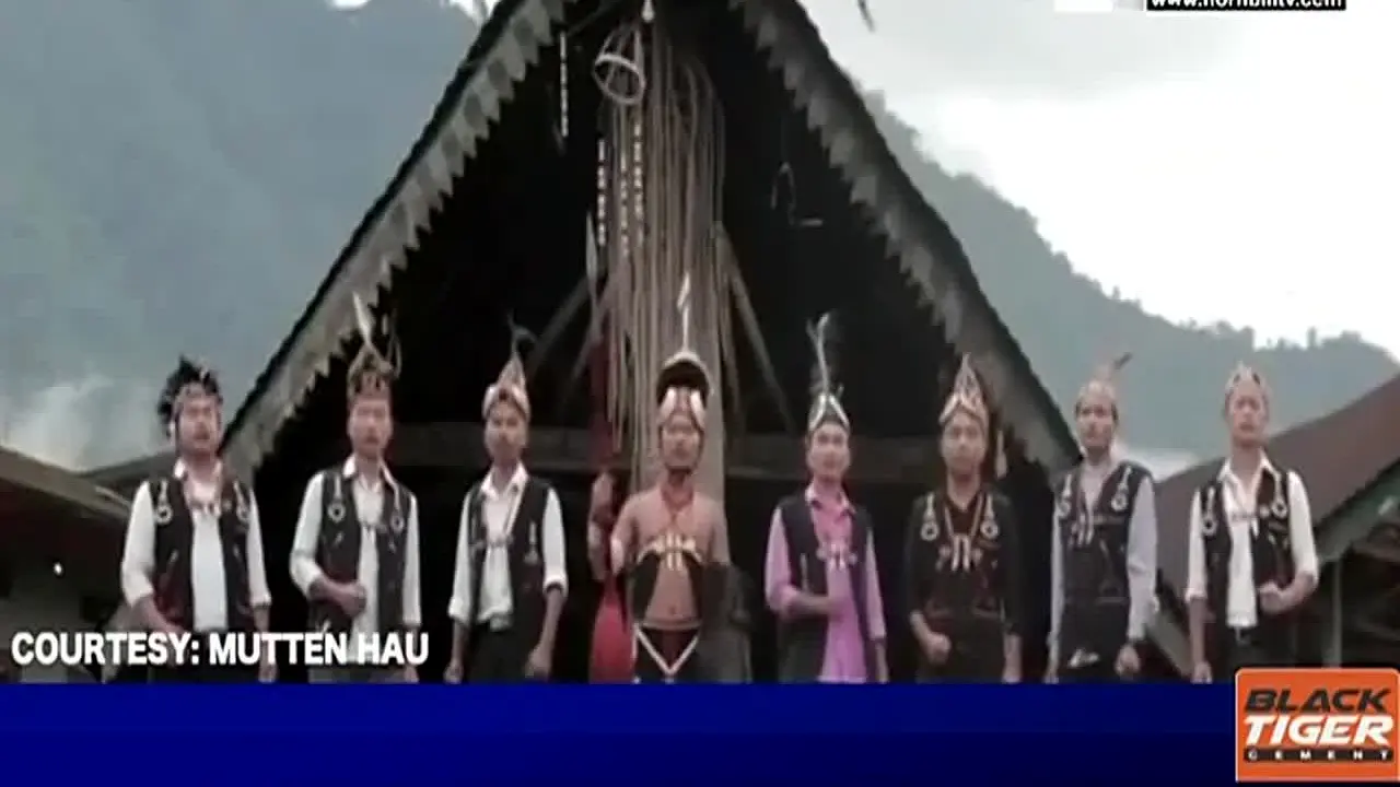 Hornbill TV in diretta