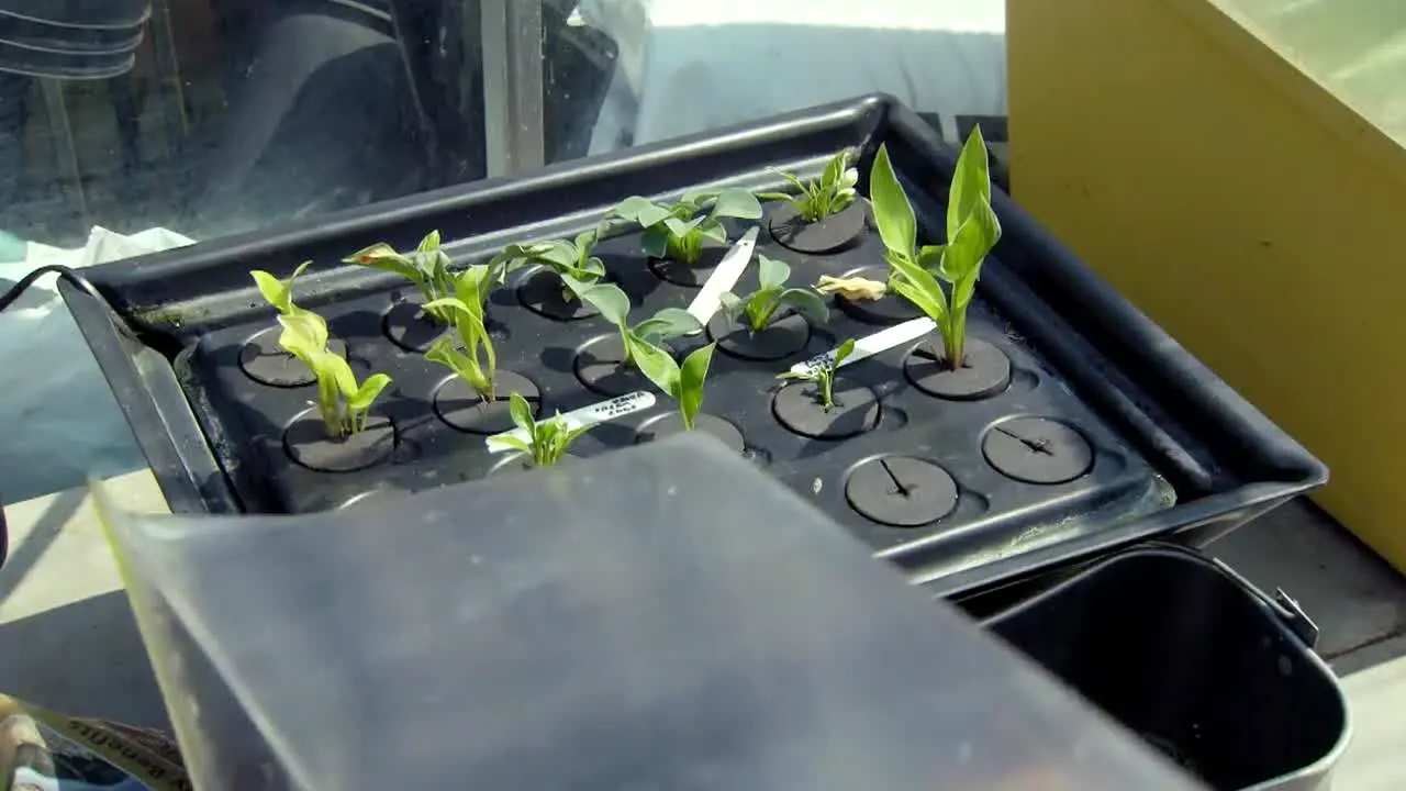 Gardeners' World ao vivo