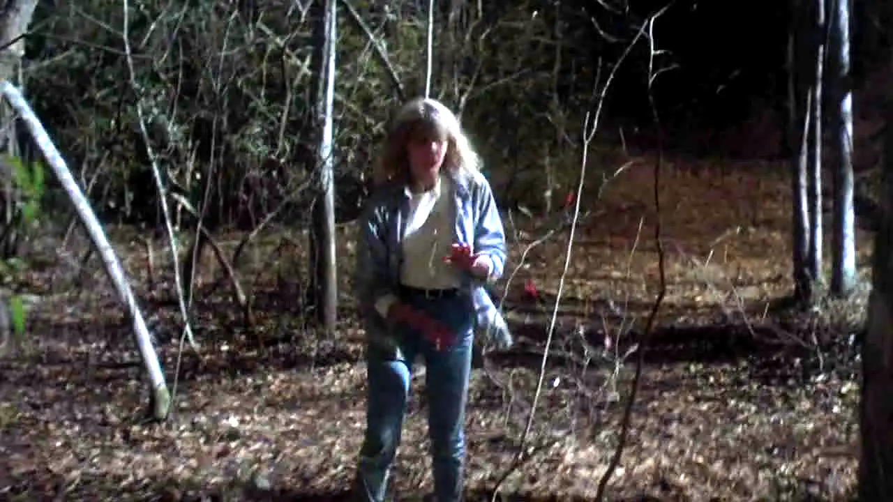Pluto TV Cine Terror live