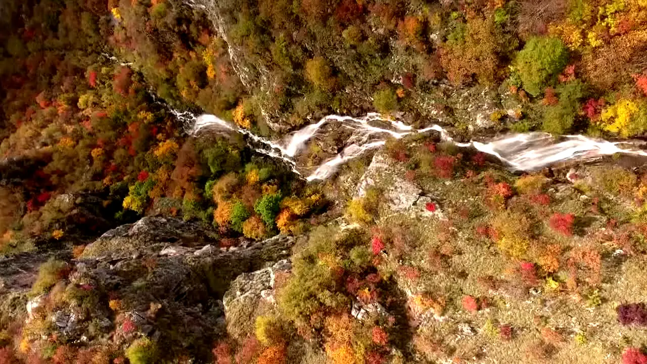 Fall Vibes live