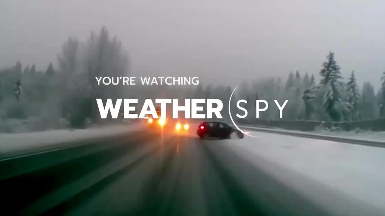 WeatherSpy live