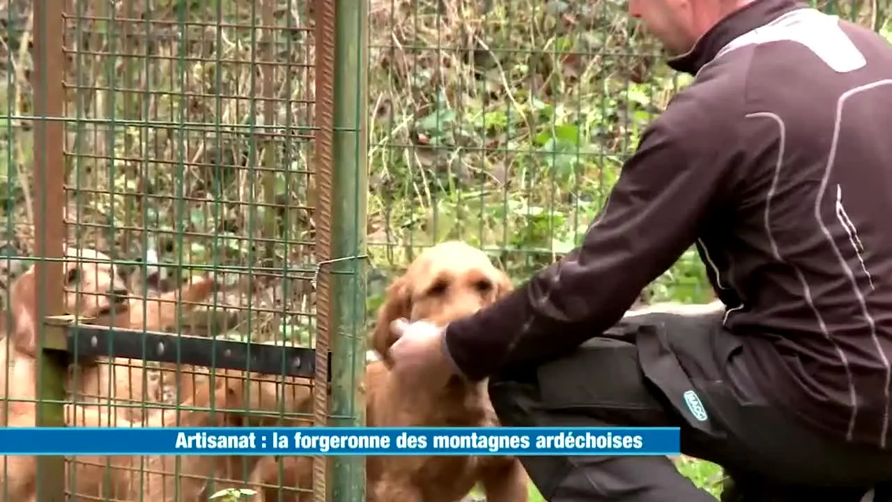 Les secrets denos regions live