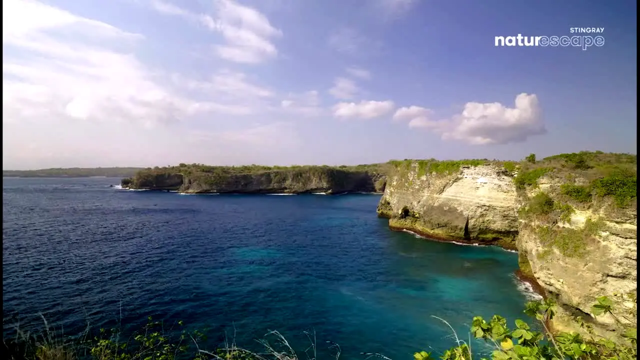 Stingray Naturescape in diretta