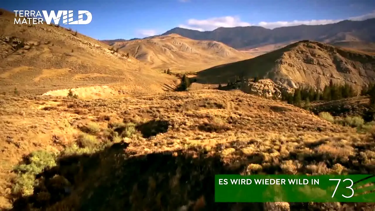 Terra Mater WILD in diretta