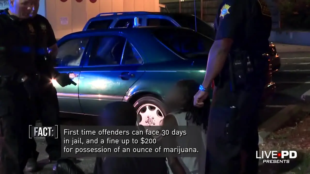 Live PD Presents in diretta