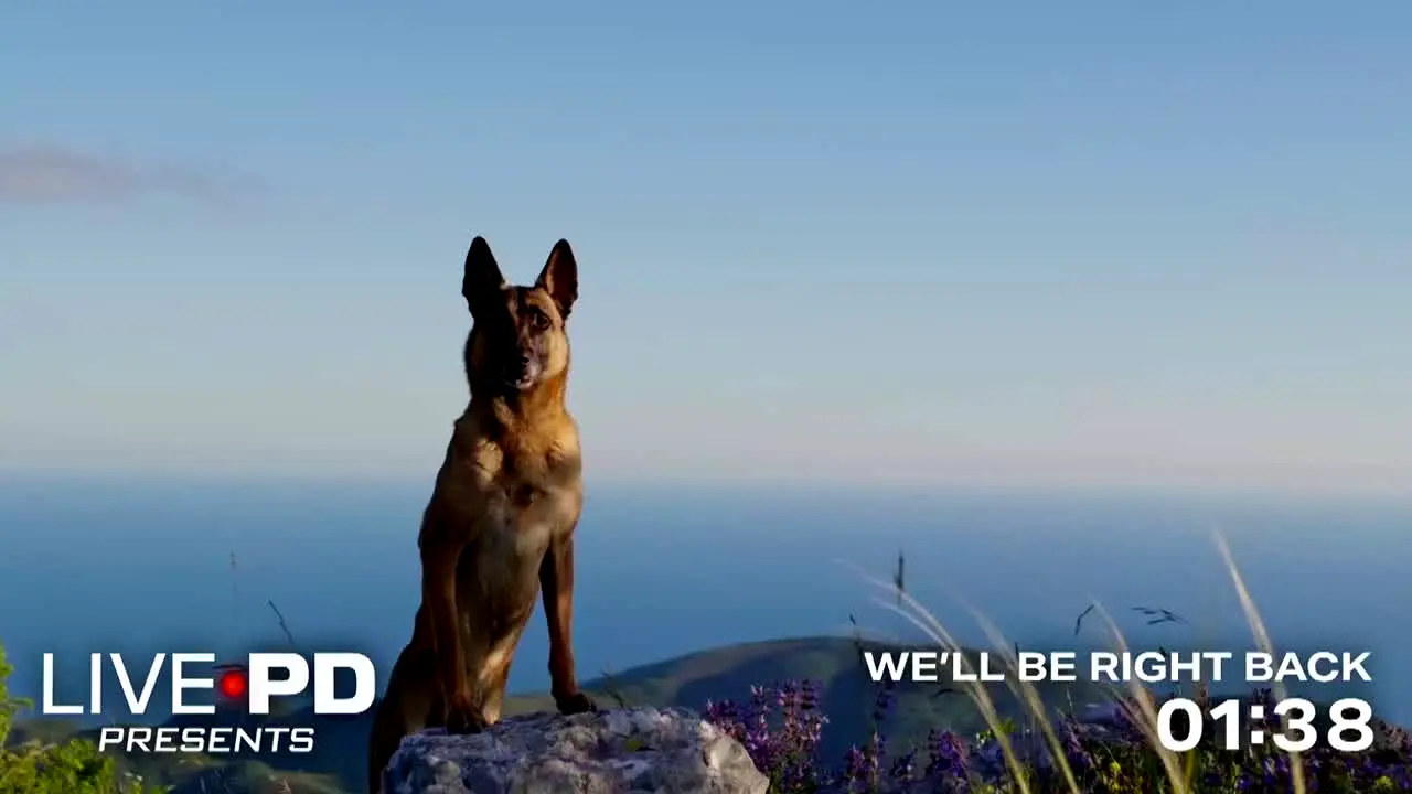 Live PD Presents live