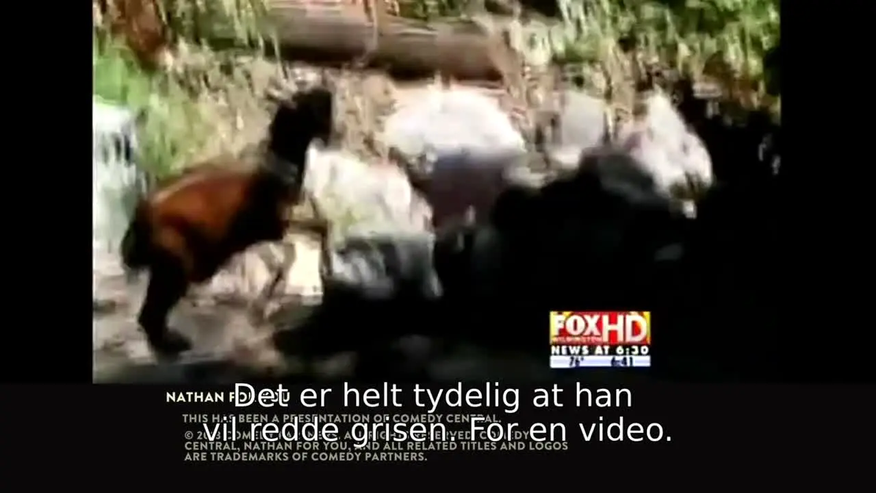 Nathan for You in diretta