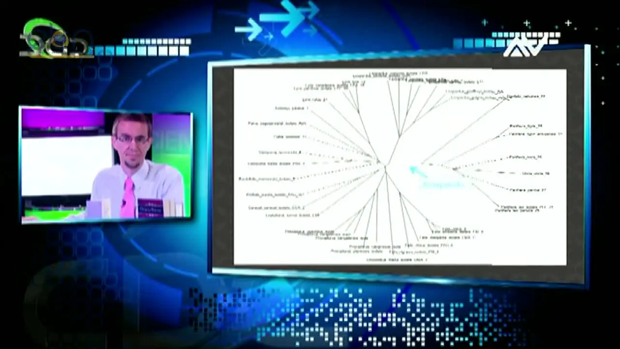 EBN Television WIDP ao vivo