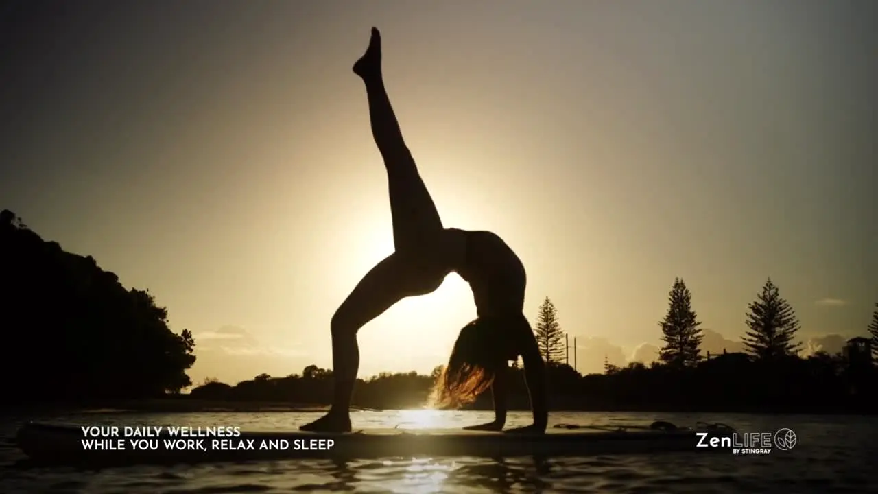 ZenLIFE by Stingray live
