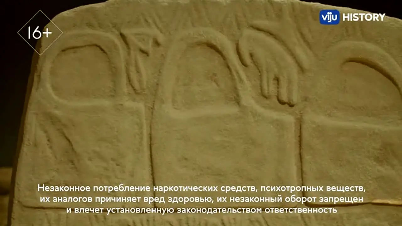 viju History in diretta