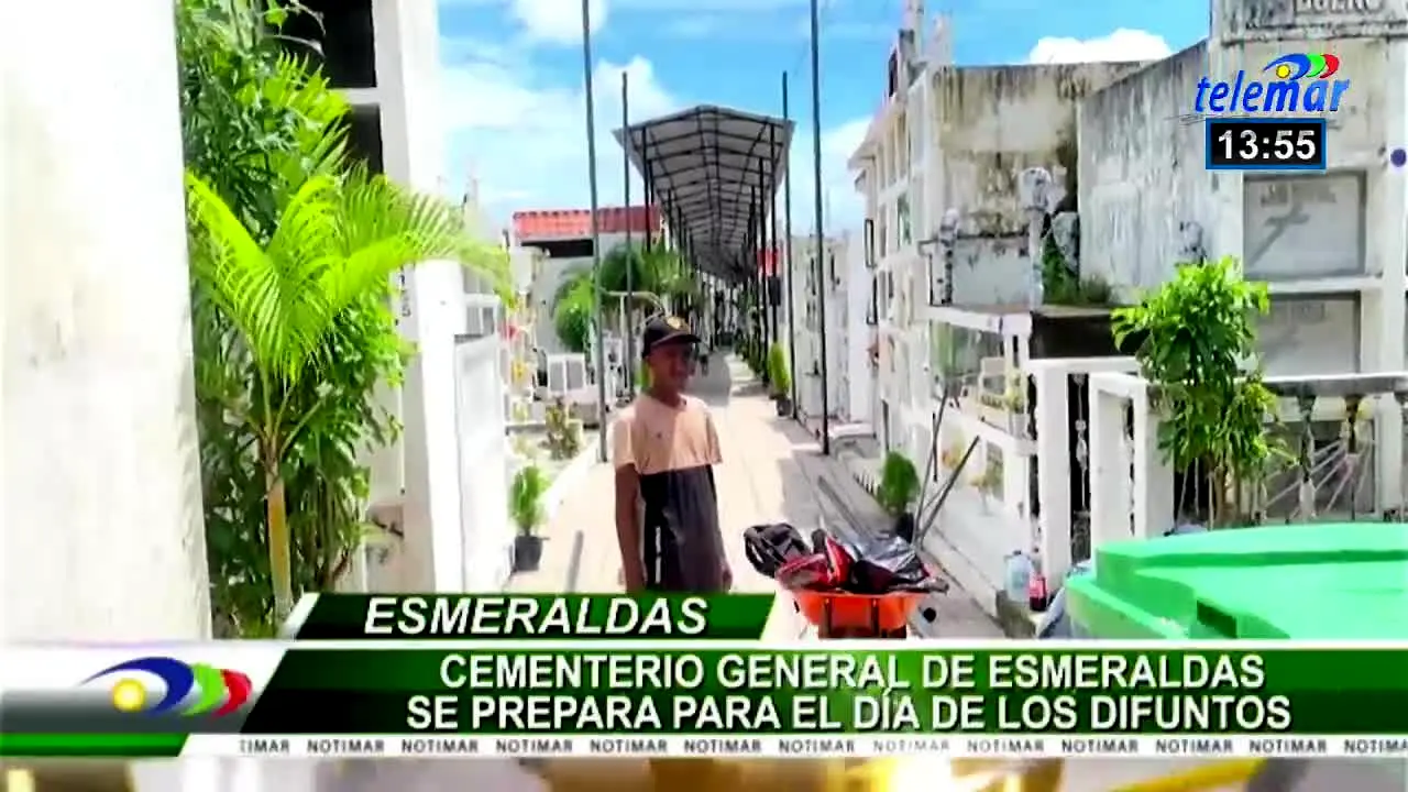 Telemar live