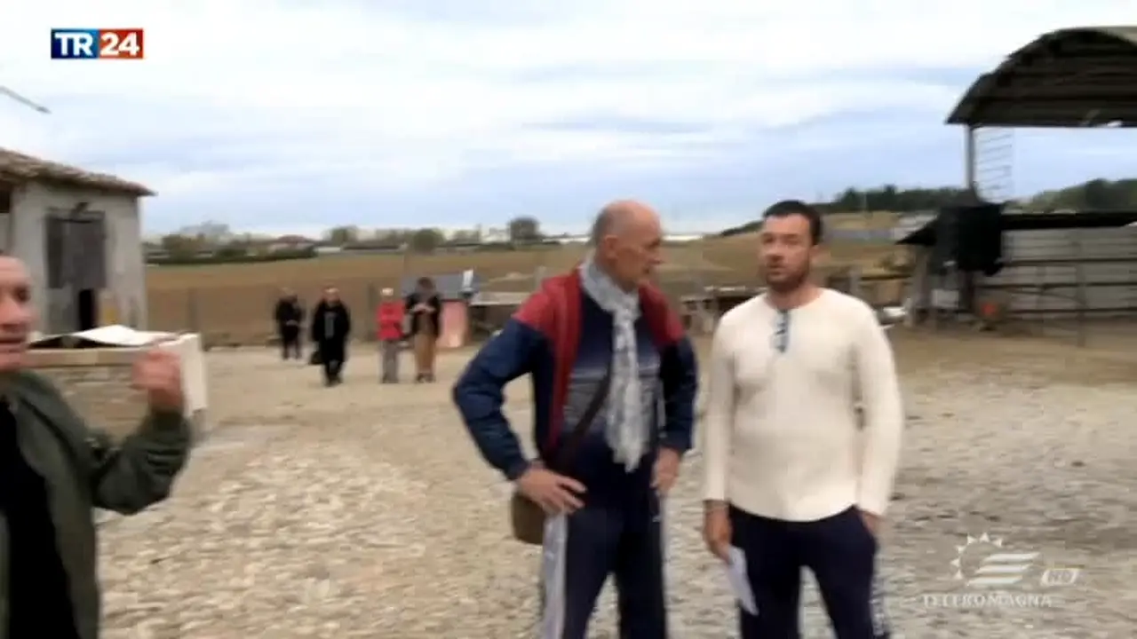 Teleromagna en vivo