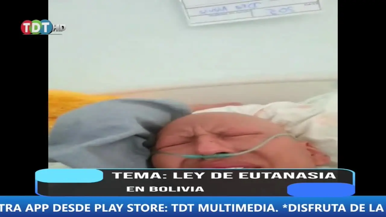 TDT Multimedia en vivo