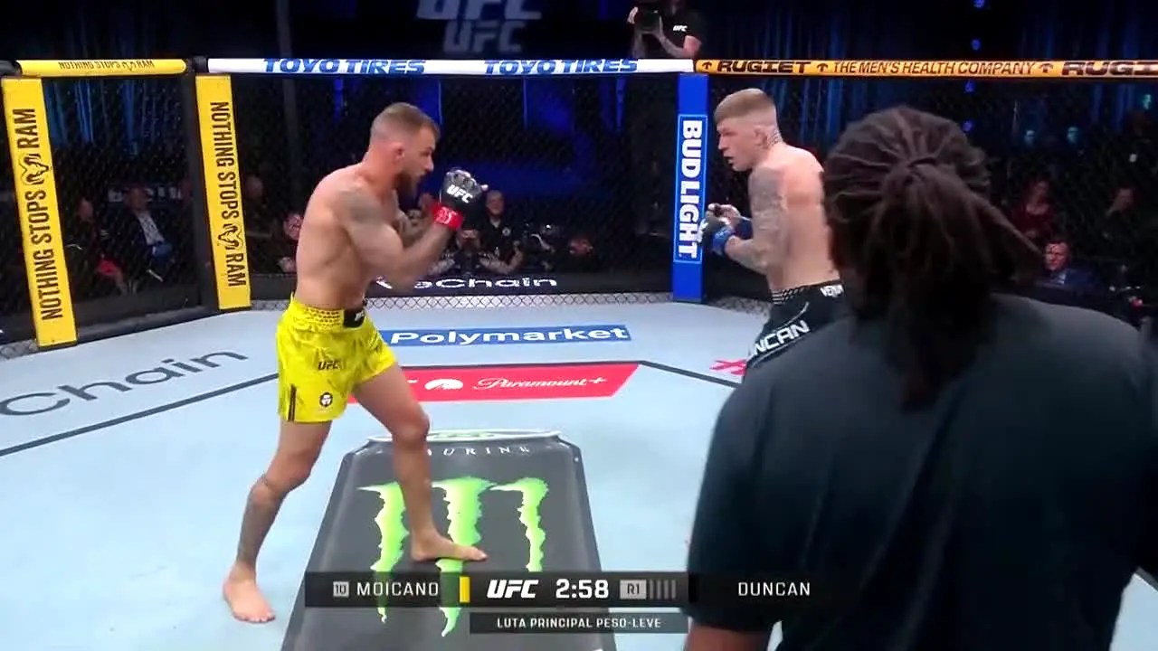 UFC live
