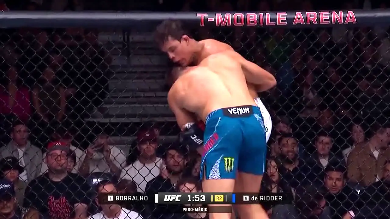 UFC live