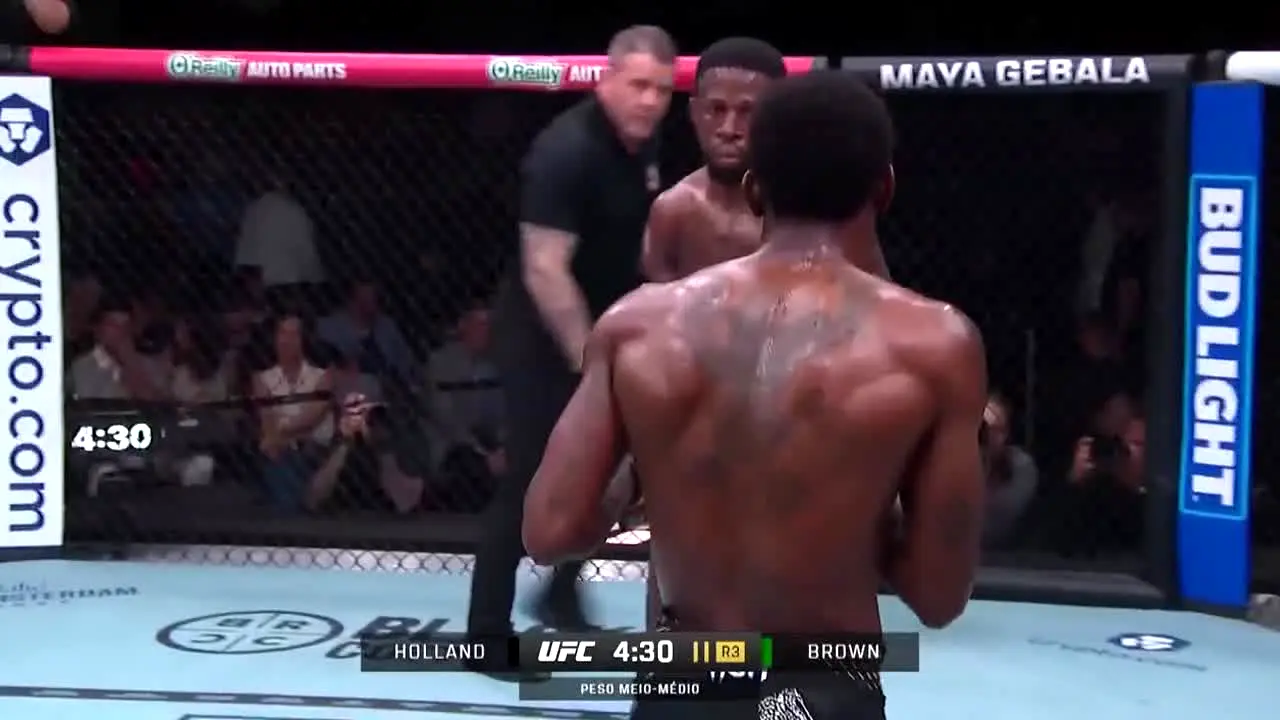 UFC na żywo
