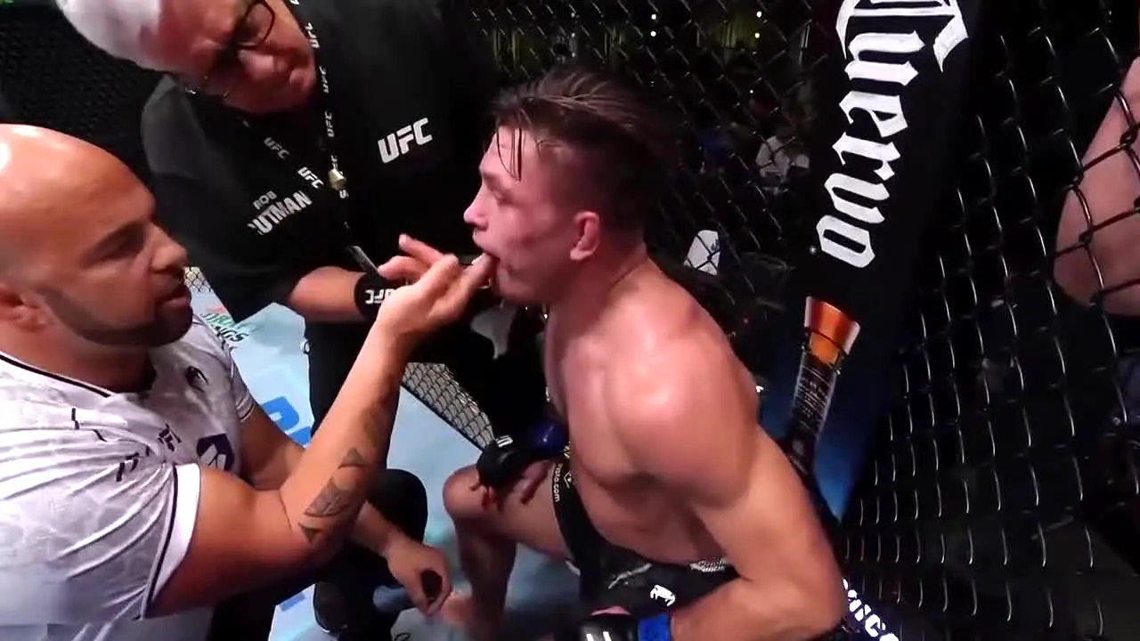 UFC ao vivo