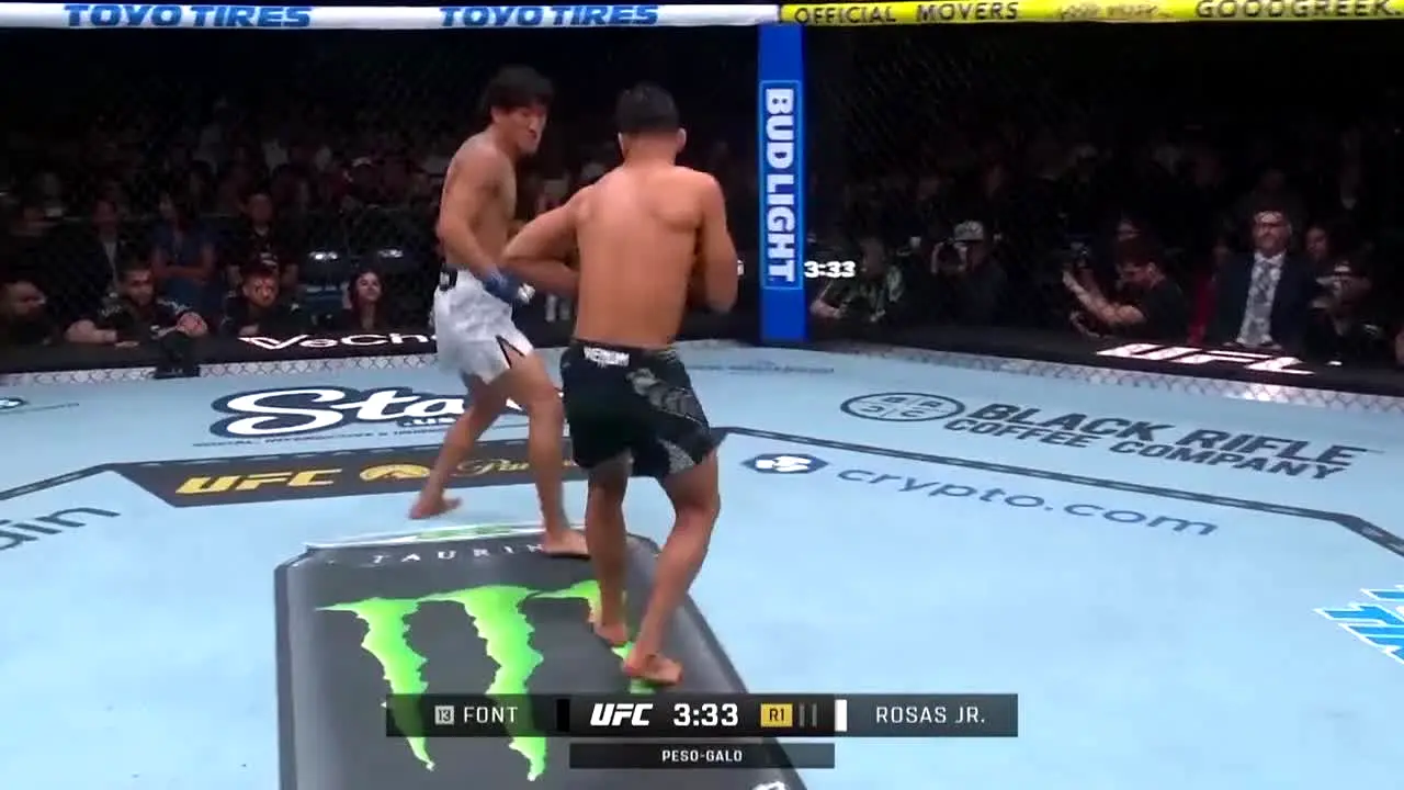 UFC live