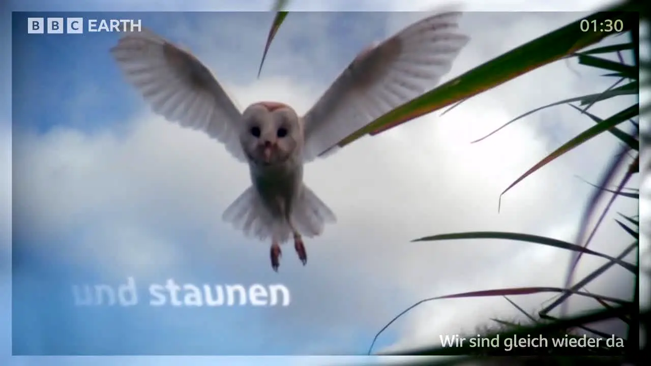 BBC Earth ao vivo