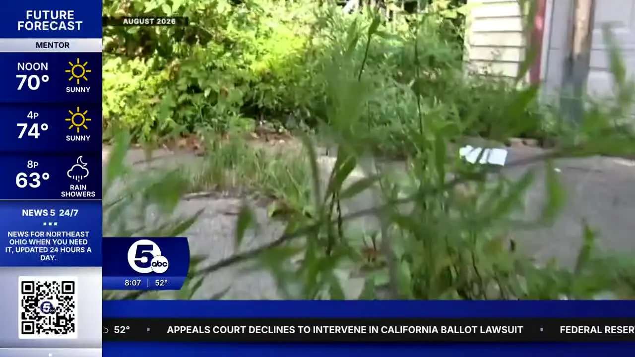 WEWS in diretta