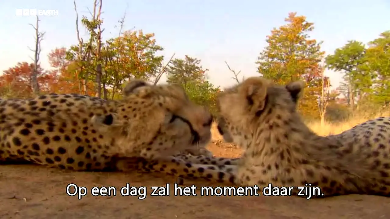 BBC Earth na żywo