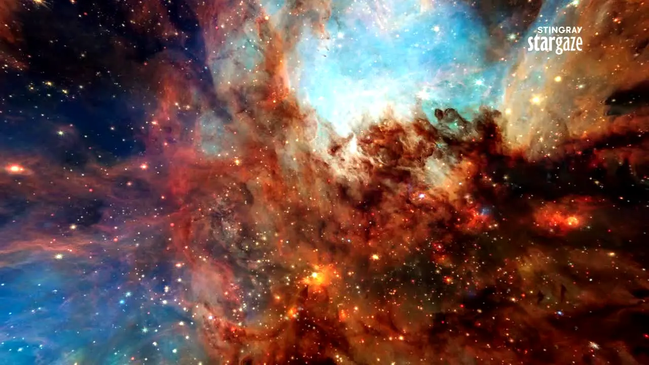 Stingray Stargaze na żywo