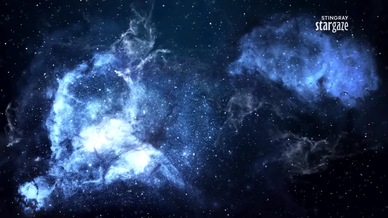 Stingray Stargaze live