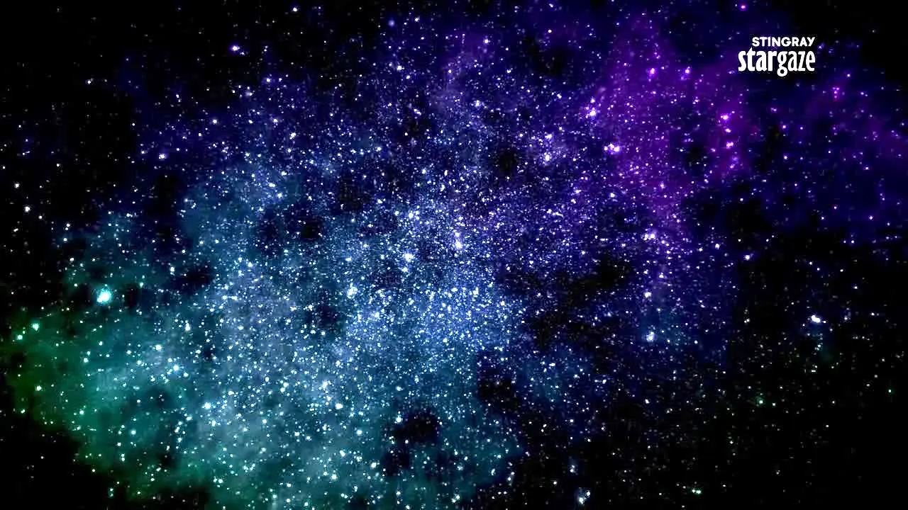 Stingray Stargaze en vivo