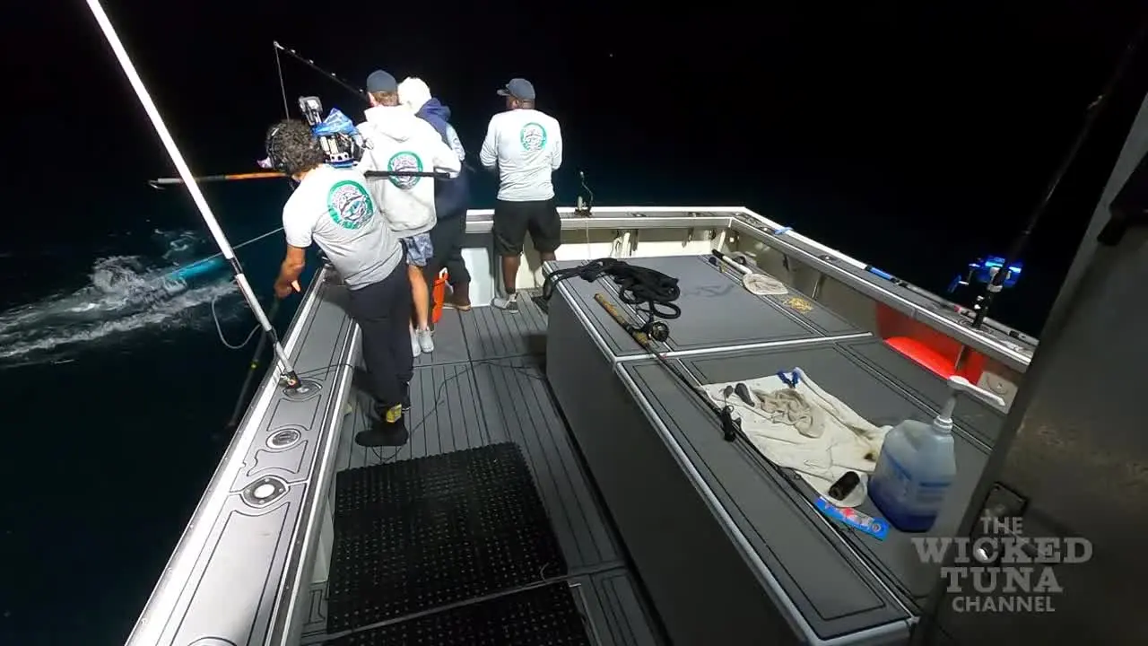 Wicked Tuna live