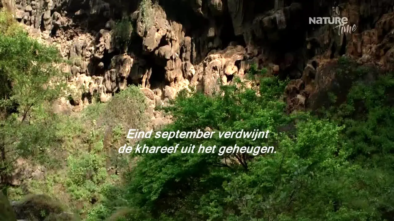 Nature Time en vivo