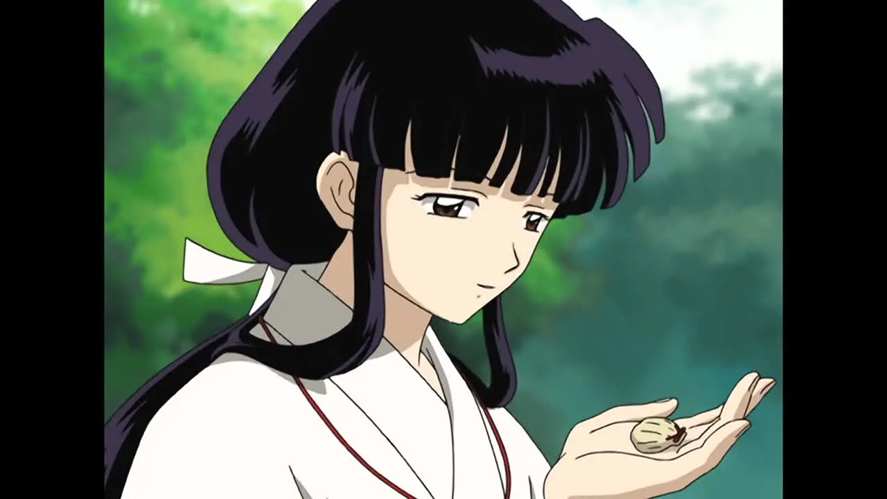 Inuyasha live