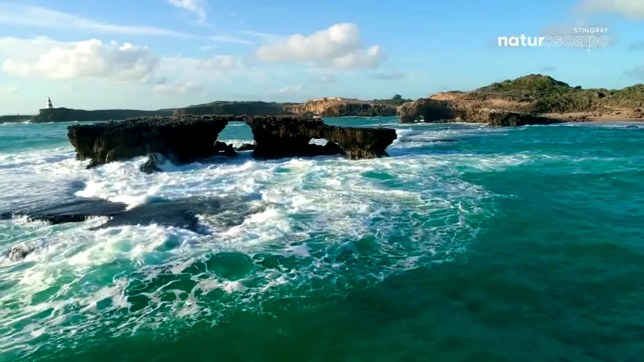 Stingray Naturescape in diretta