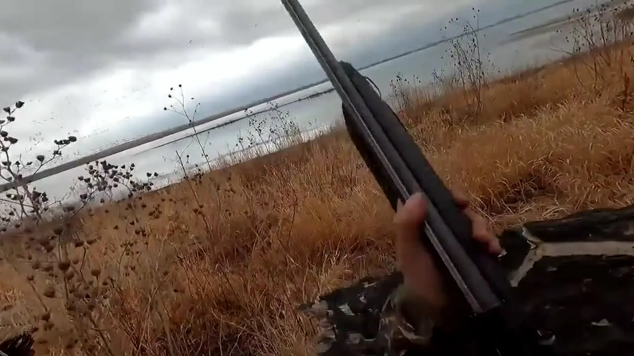 Duck Hunting TV live