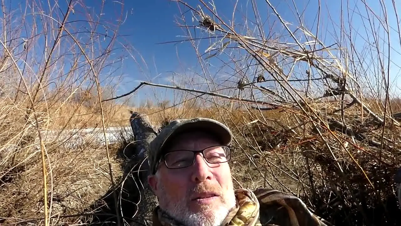 Duck Hunting TV live