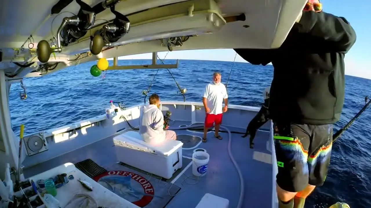 Wicked Tuna ao vivo