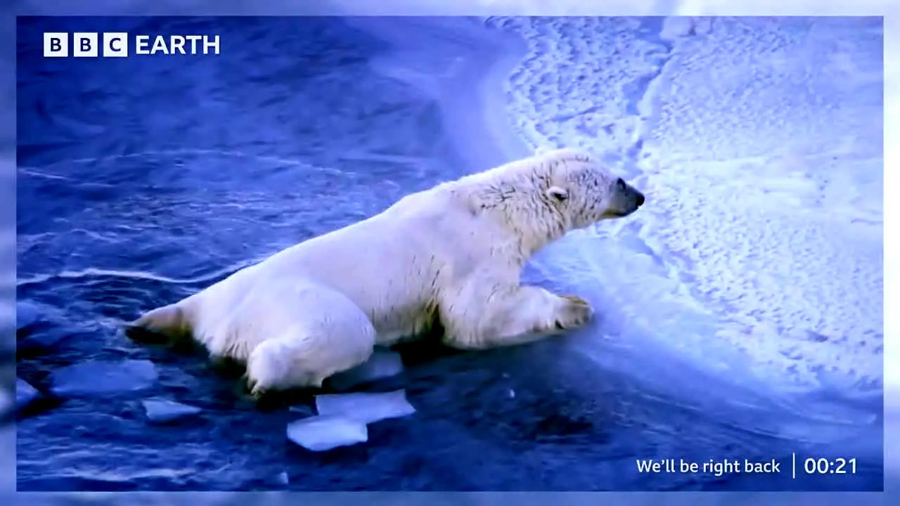 BBC Earth US en vivo