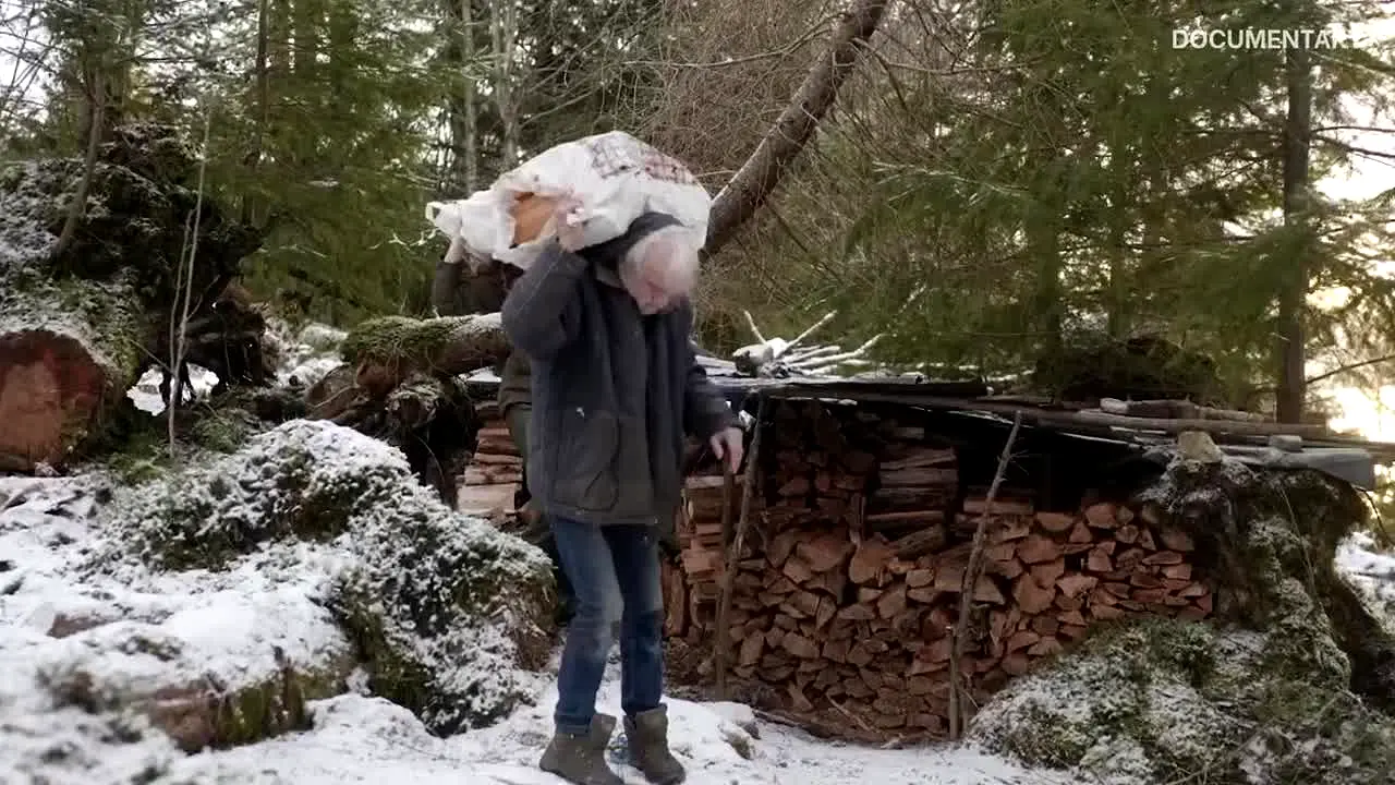 Documentary+ — прямой эфир