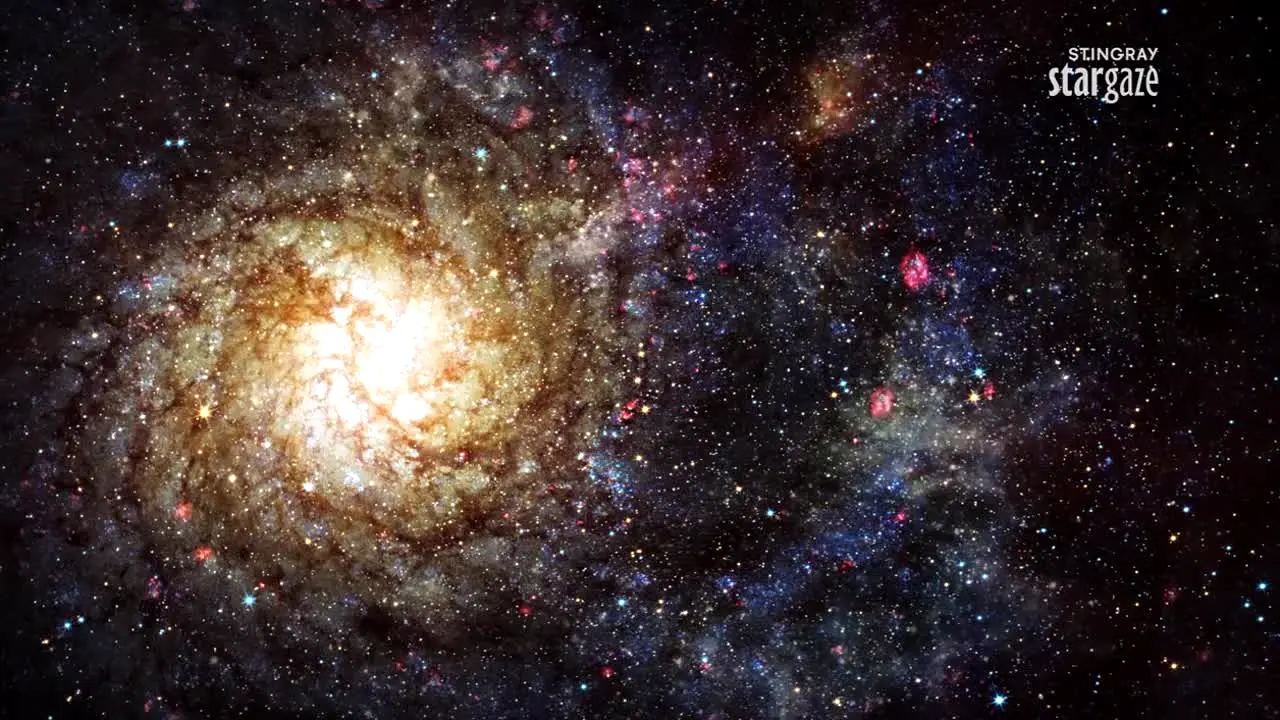 Stingray Stargaze in diretta