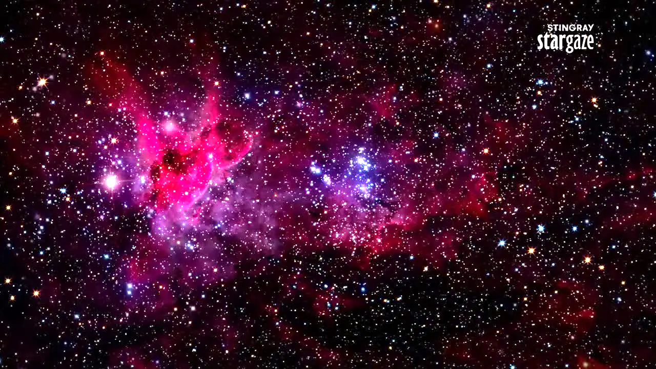 Stingray Stargaze live