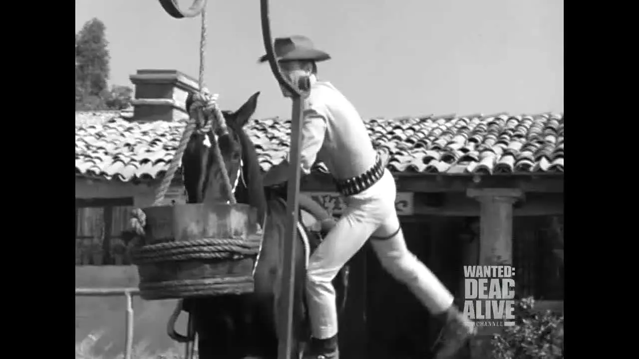 Wanted: Dead or Alive live