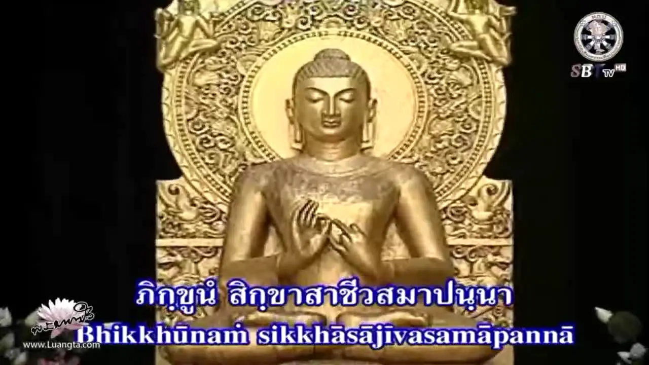 SBT TV live