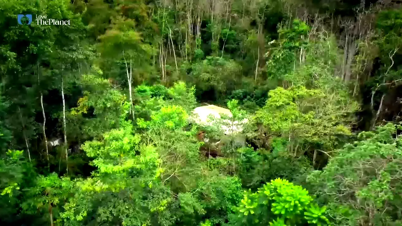 Love The Planet in diretta
