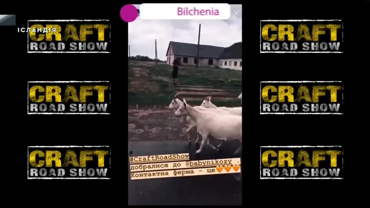 Islandia in diretta