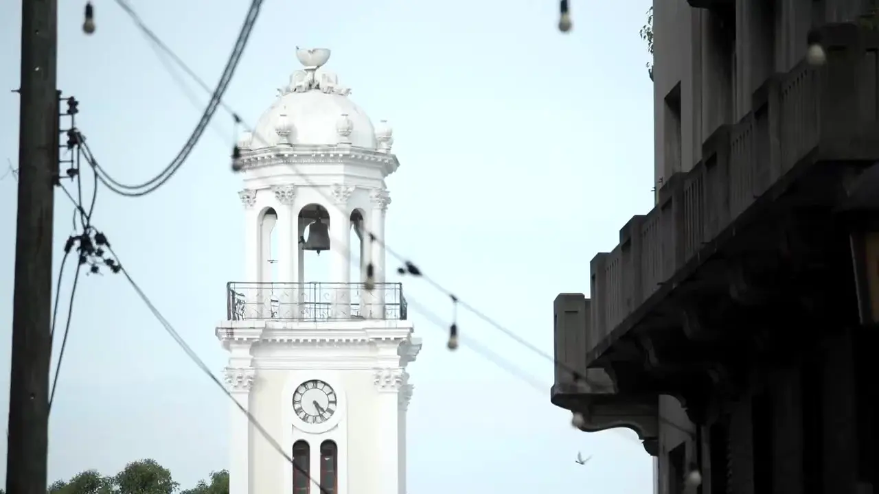 Mission TV live