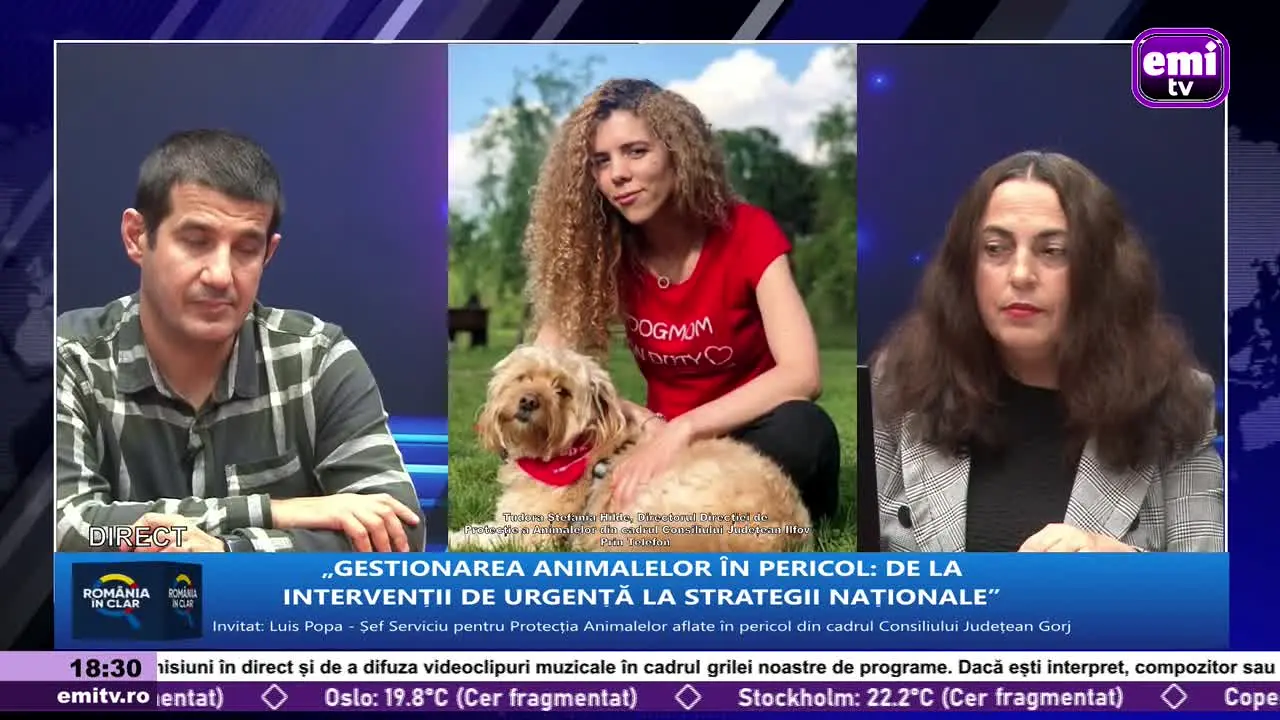 EMI TV live