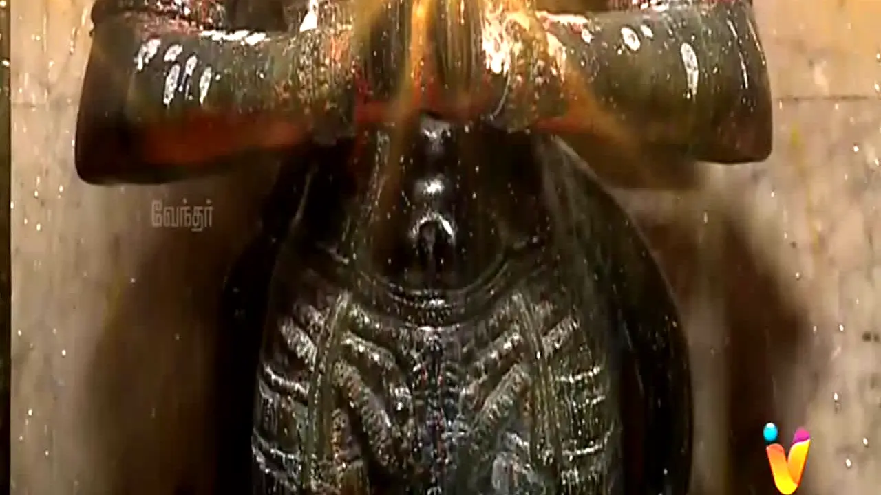 Vendhar TV live
