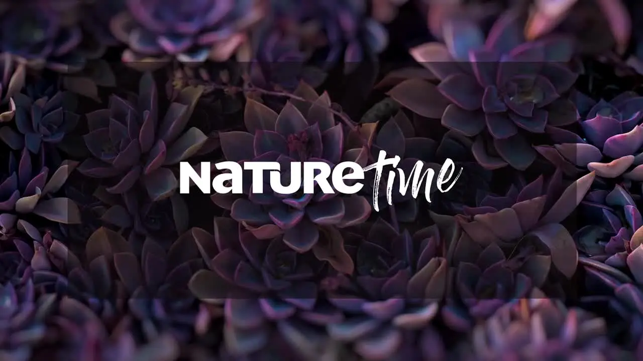 NatureTime na żywo